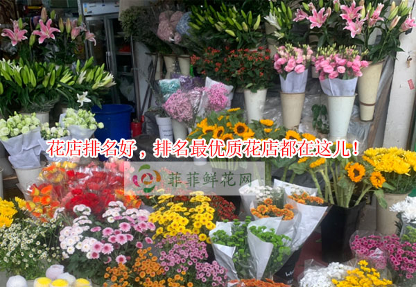 湛江雷州市花店排名,湛江雷州市最优质花店都在这儿!