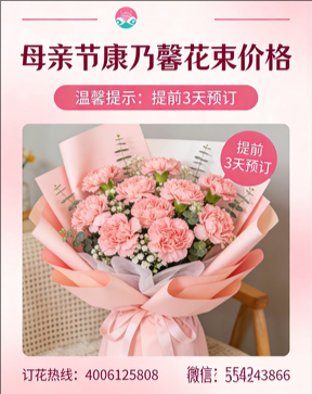 湛江雷州市花店母亲节康乃馨花束