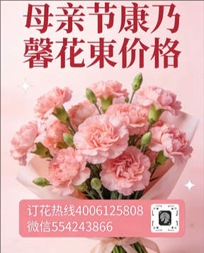 湛江雷州市花店母亲节康乃馨花束